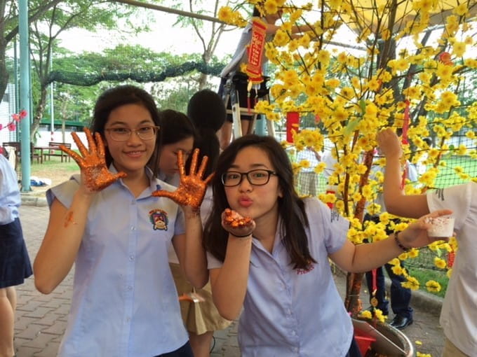 Cuộc Thi Trang Trí cây Mai - tet-tree-decoration-competition