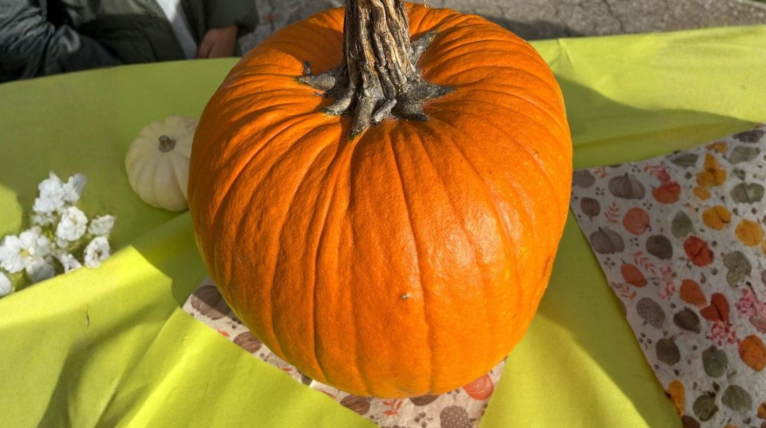 Autumn festival 6jpg