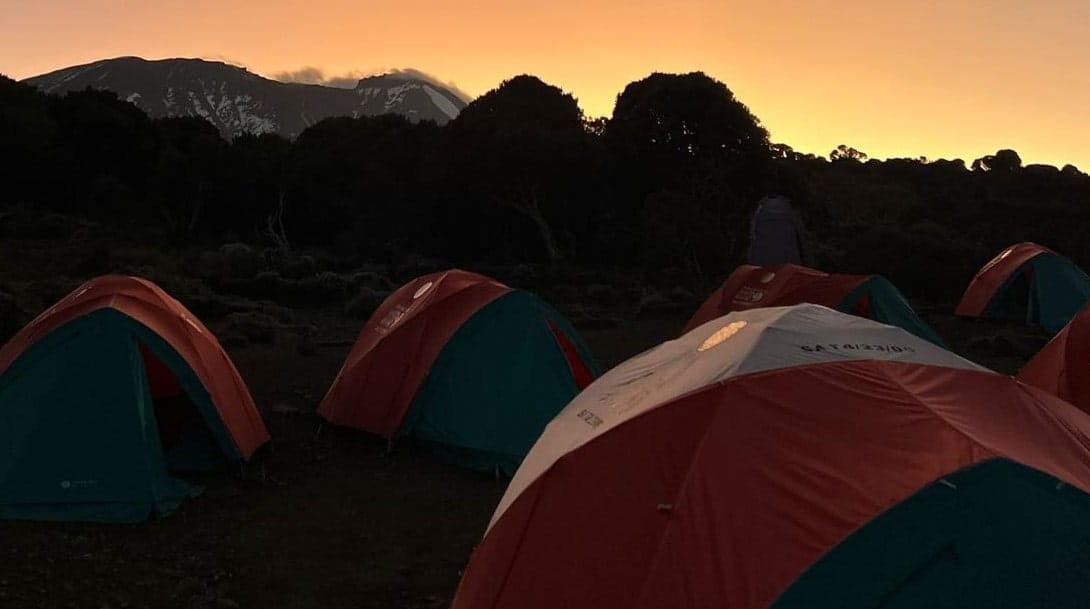 Back from Kilimanjaro carousel image 1jpg