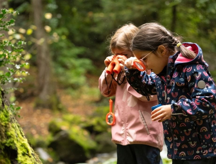 Collège Champittet | Ecole Internationale à Lausanne - Feature Cards - Champittet