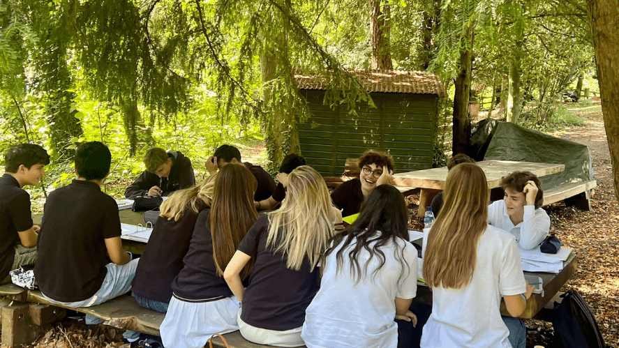 Mind and body: What can trees teach us? - Sylvotherapy