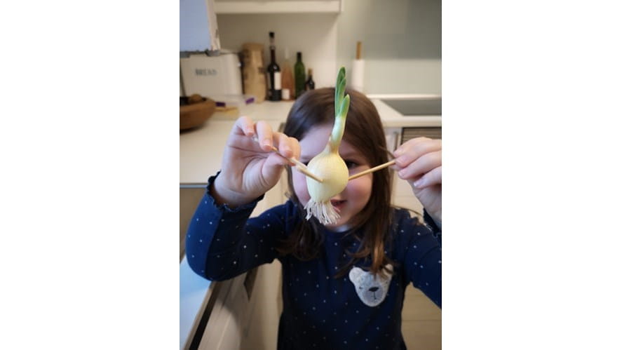 K4TH_Phoebe_growing and measuring plants