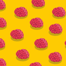 Knowledge is Power | INSIGHTS | Nord Anglia Education - Knowledge is Power