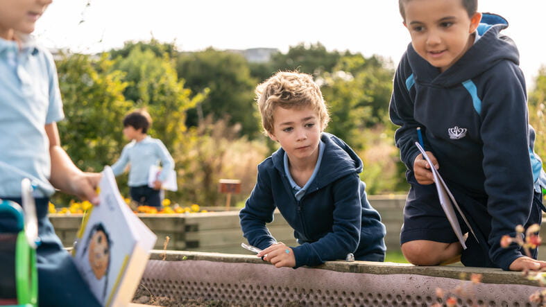 La Côte International School Aubonne, Suisse | Nord Anglia - 051 - Feature Cards Pattern