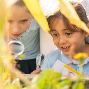 La Côte International School Aubonne, Suisse | Nord Anglia - 051 - Feature Cards Pattern