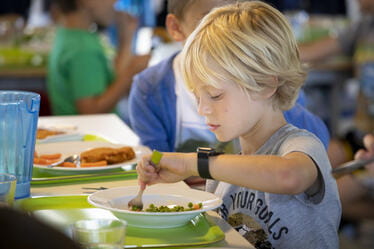 Programmes Académique | La Côte International School Aubonne - 04 - visualTimeline WithTags