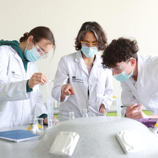 Activités extrascolaires | La Côte International School Aubonne - 04 - Feature Cards Pattern - ECAs