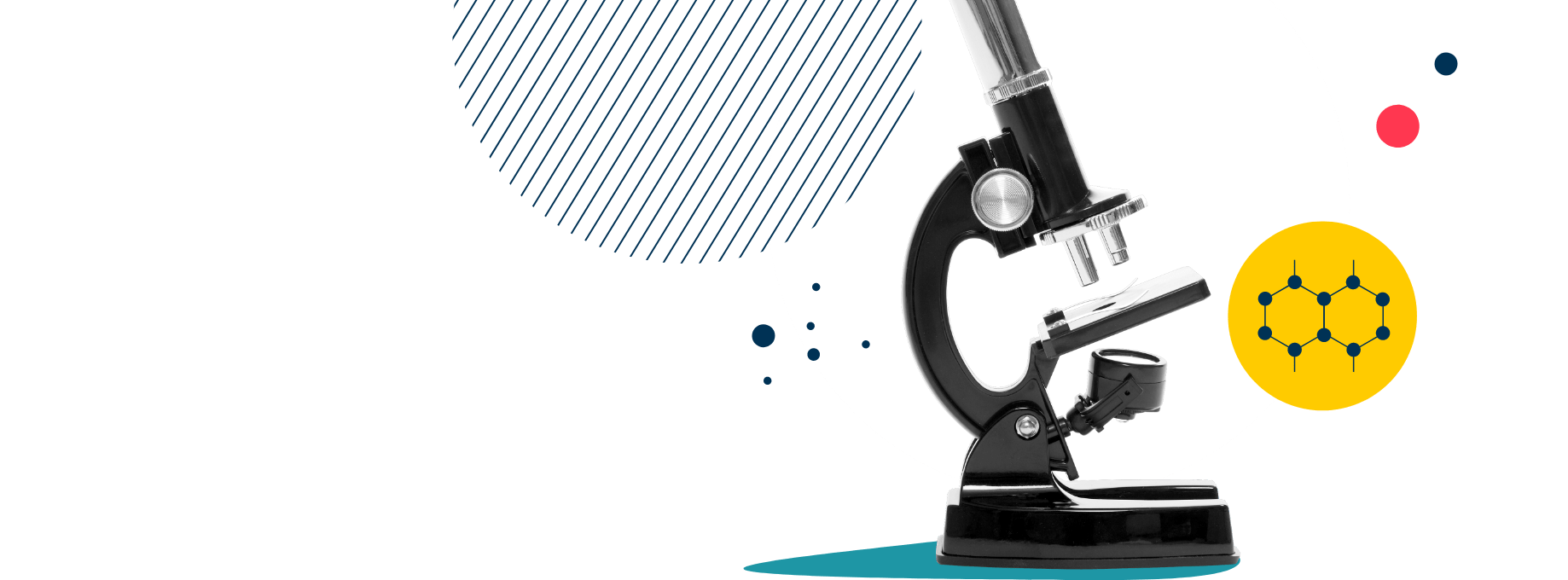 La Côte International School Aubonne, Switzerland | Nord Anglia - 051 - Feature Cards Pattern