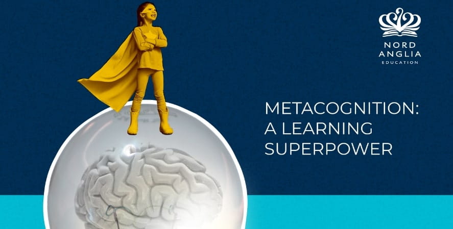 12 km à la nage pour une cause - Project Zero