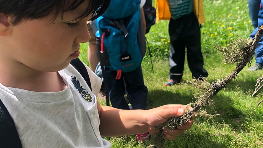 Playing with sticks - Why risky play is so important in the Early Years - StickPlay