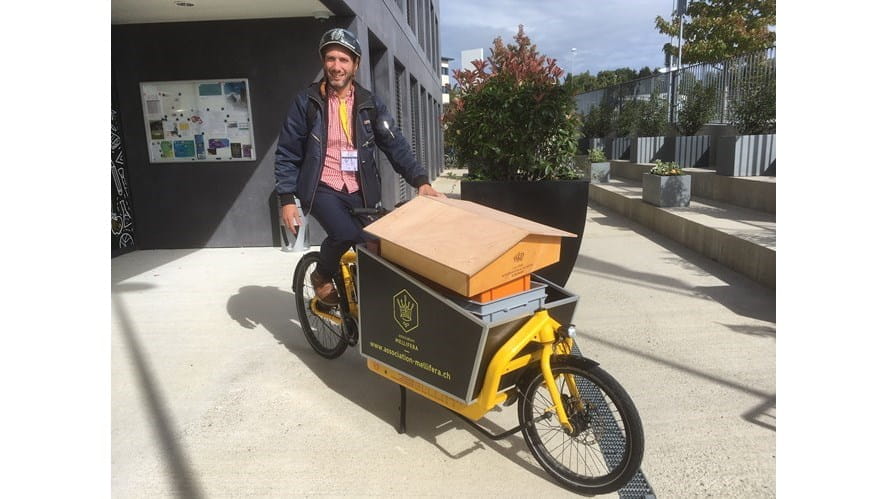 Le Projet d'apiculture LCIS - the-lcis-bee-project