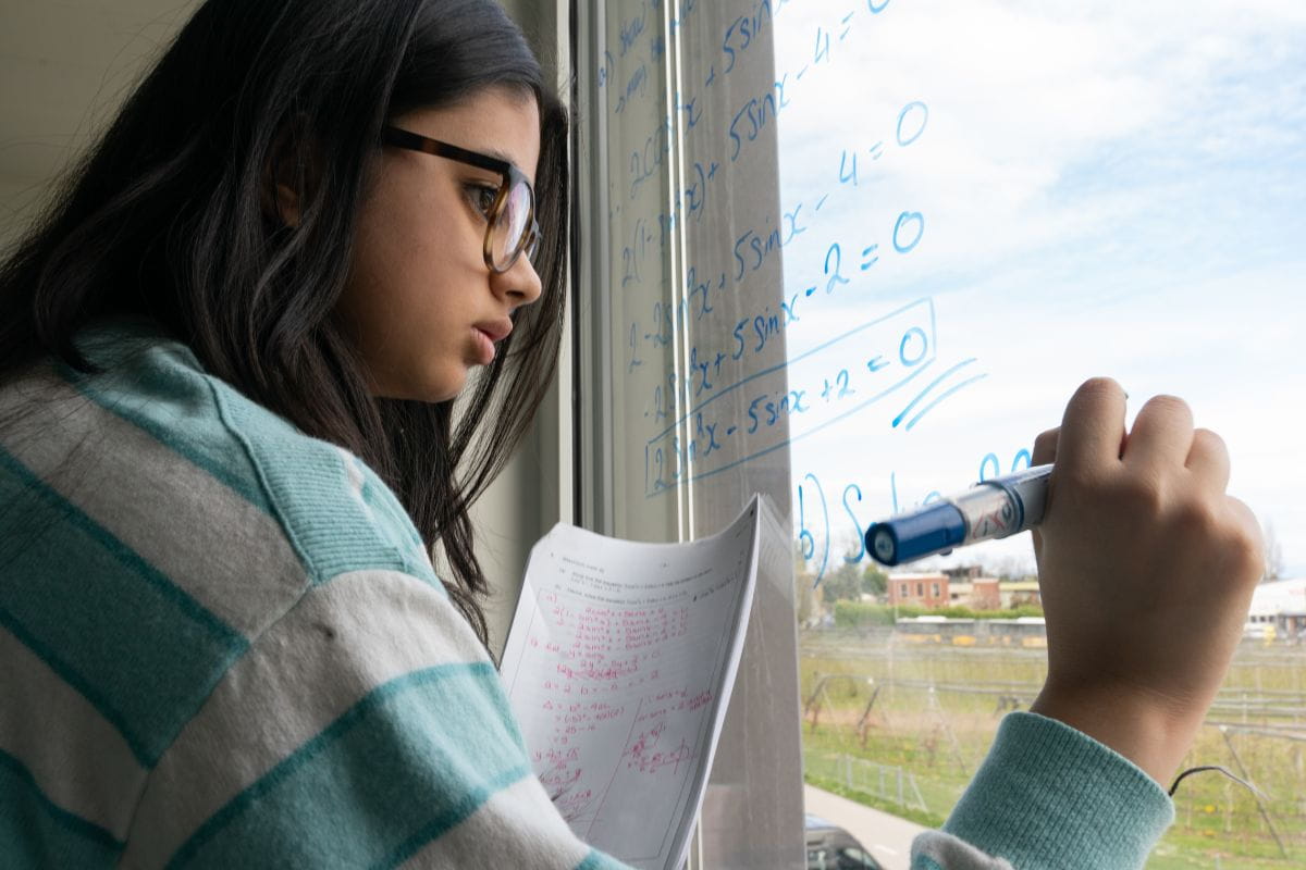 Theory of Knowledge Mathematics