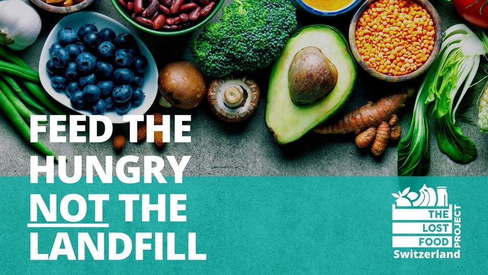 LCIS Earns the Eco-Schools Green Flag: A Commitment to Sustainability - Eco School Green Flag