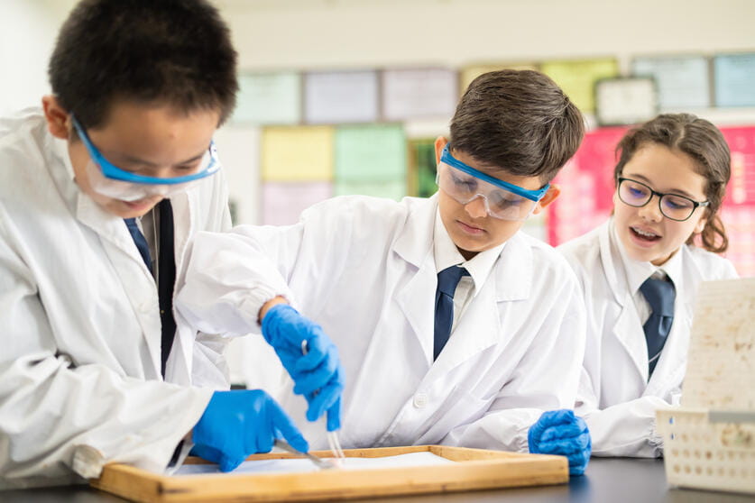 校园环境 | 上海英国学校浦东校区 - 08 - Carousel Default