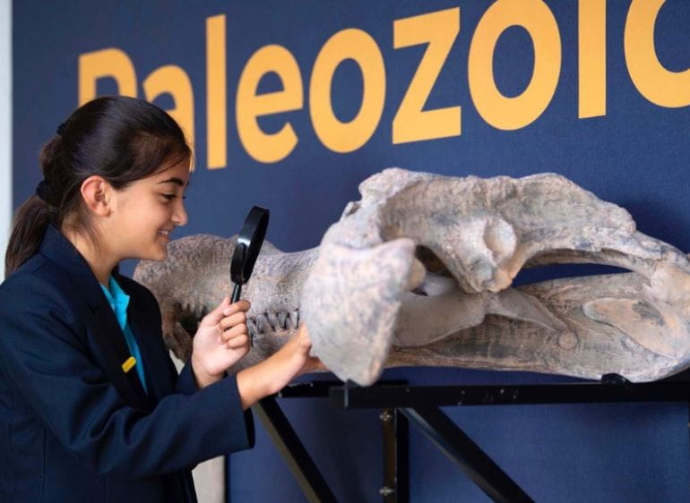 校园环境 | 上海英国学校浦东校区 - Gallery Widget - Facilities