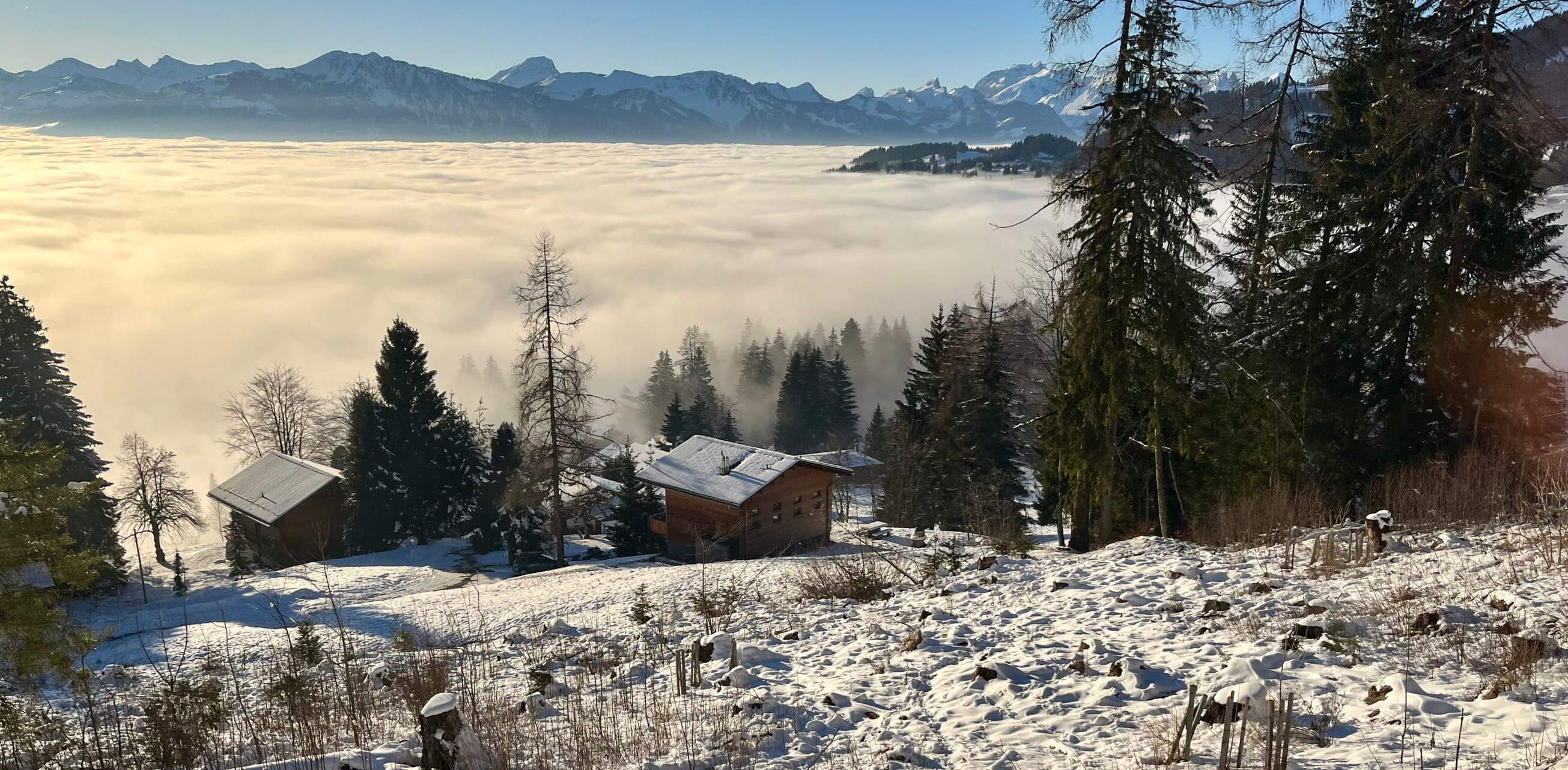 Winter Skiing Expedition to Switzerland - Winter Skiing Expedition to Switzerland