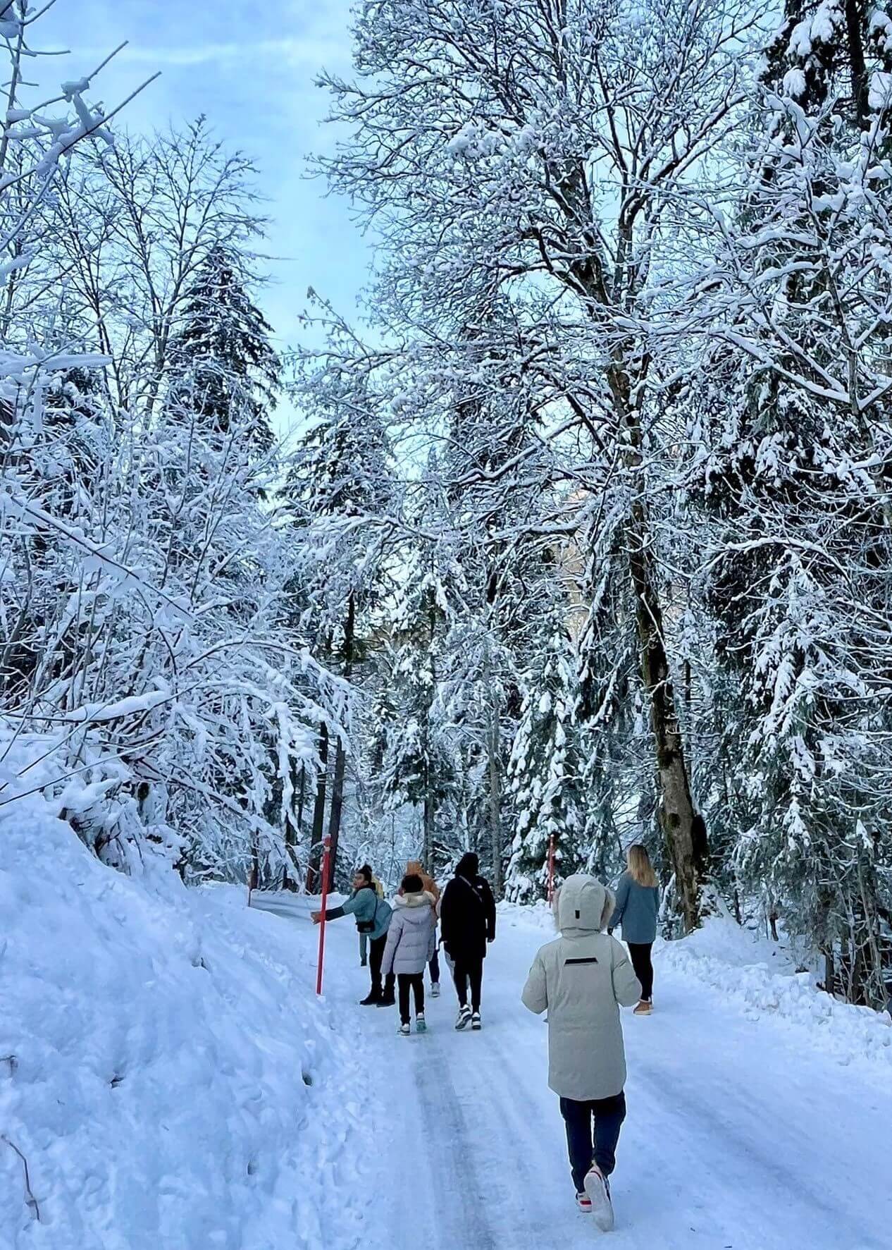 Winter Skiing Expedition to Switzerland - Winter Skiing Expedition to Switzerland