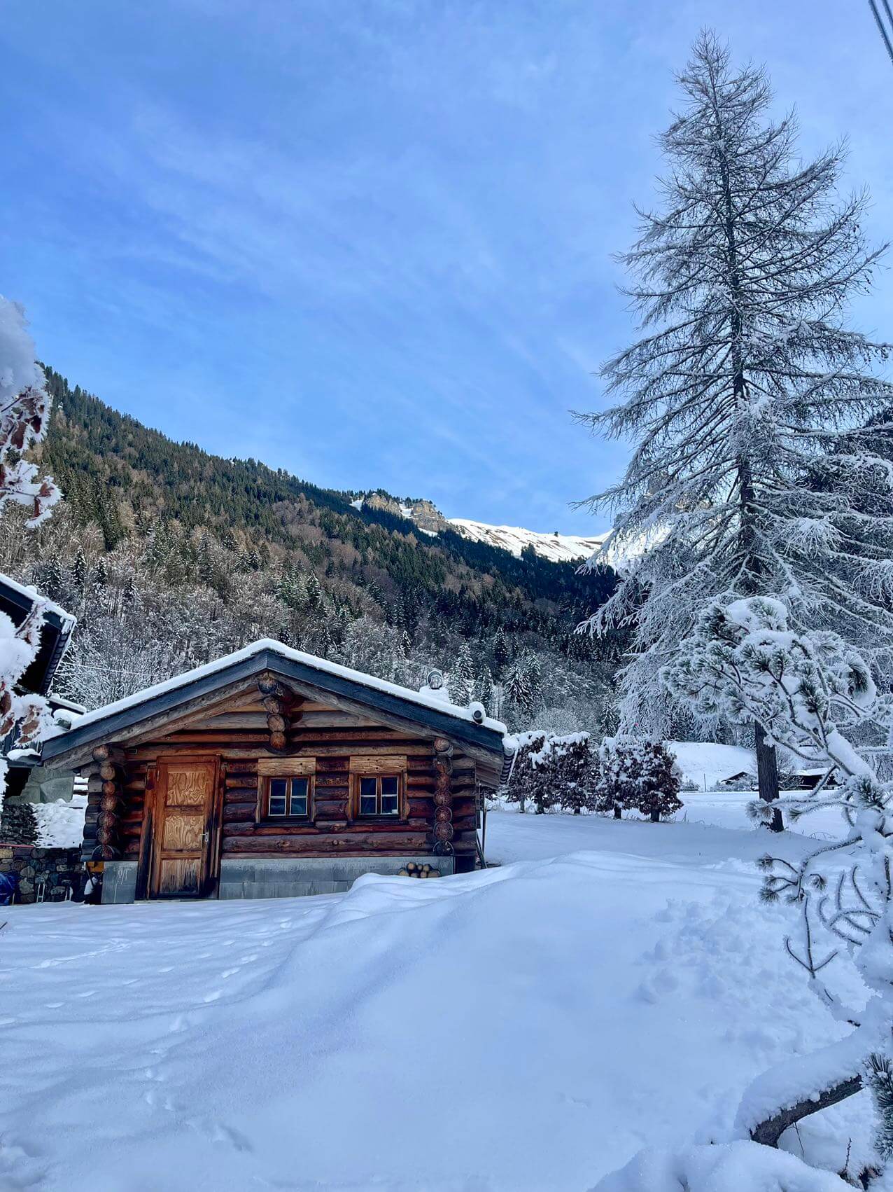 Winter Skiing Expedition to Switzerland - Winter Skiing Expedition to Switzerland