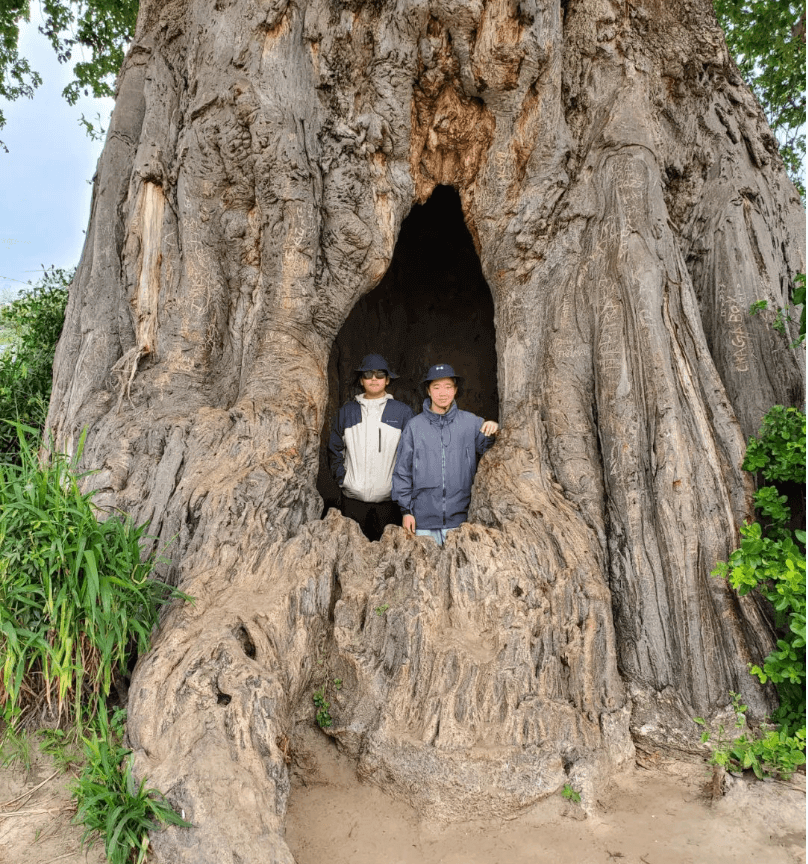 Tanzania Service Project 2025 - Tanzania Service Project 2025