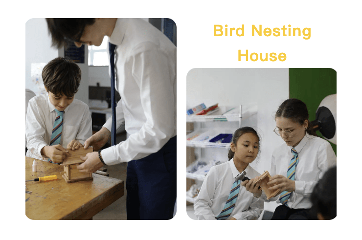 NAIS Pudong Community Projects - NAIS Pudong Community Projects