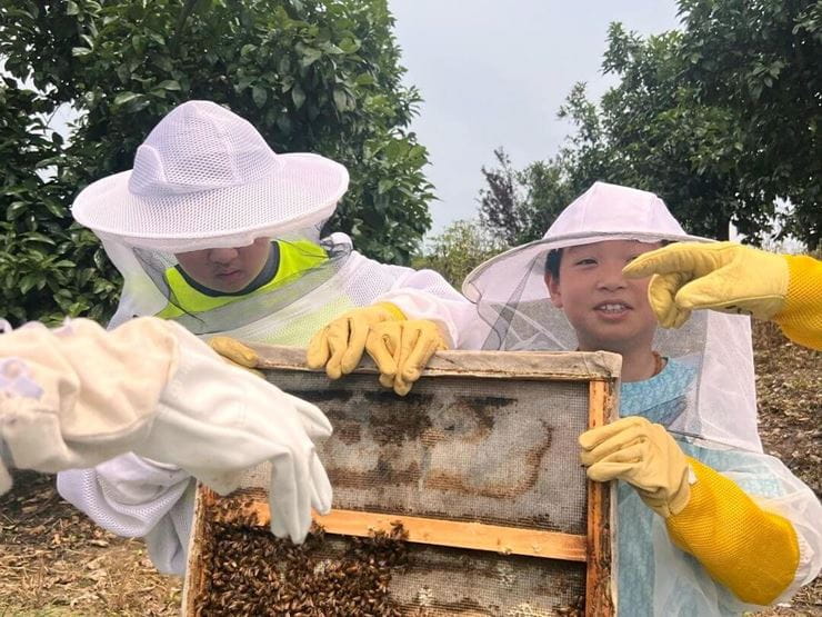 Learning from Nature Exploring Bees - Learning from Nature Exploring Bees