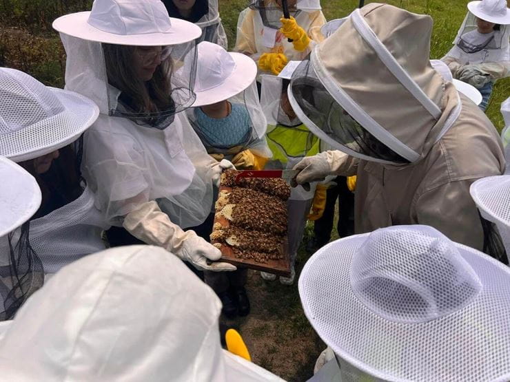 Learning from Nature Exploring Bees - Learning from Nature Exploring Bees