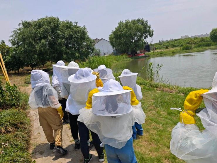 Learning from Nature Exploring Bees - Learning from Nature Exploring Bees