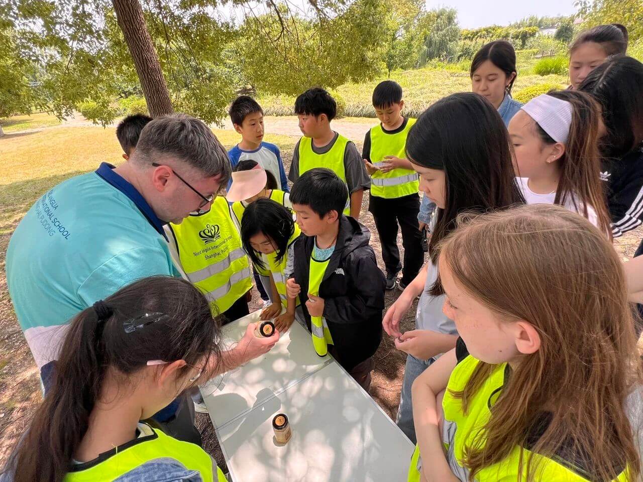 Learning from Nature Exploring Bees - Learning from Nature Exploring Bees