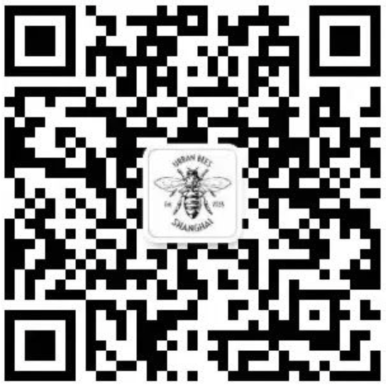 Learning from Nature Exploring Bees - Learning from Nature Exploring Bees