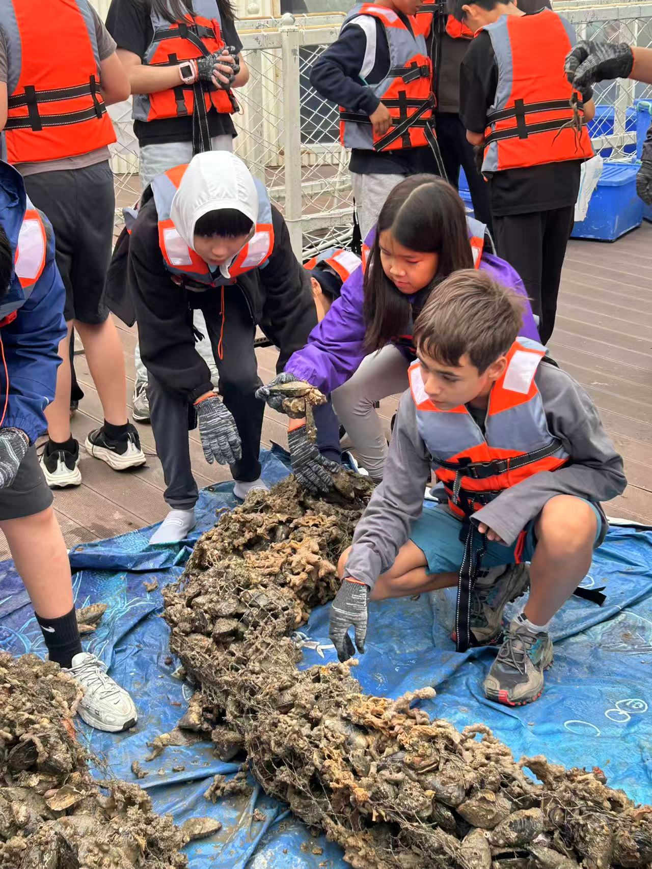 Year 6 and 7 Explore Fujian for Enrichment Week - Year 6 and 7 Explore Fujian