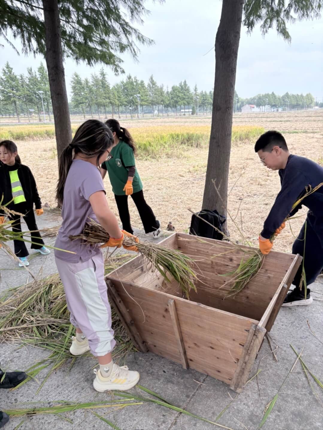 From field to table - From field to table