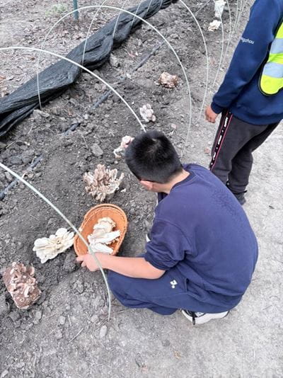 From field to table! - From field to table