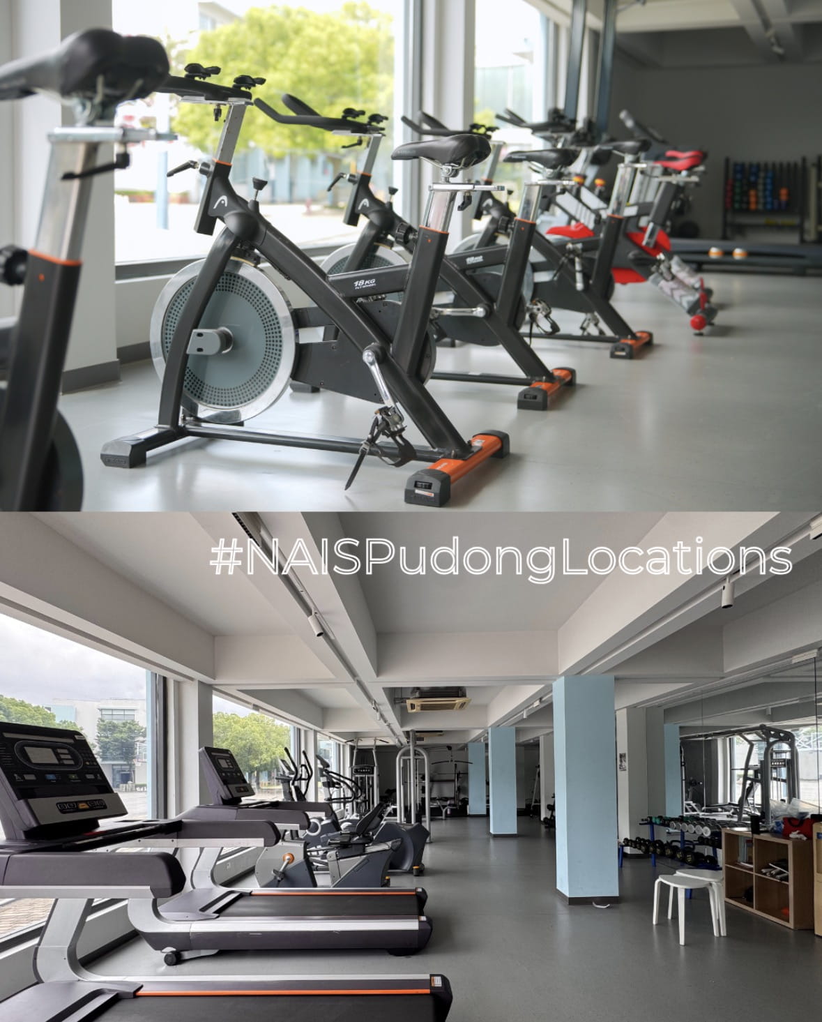 #NAISPudongLocations — this time, we're taking you to our very own gym! 🏋️♀️ - NAISPudong Locations