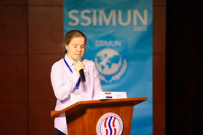 Model United Nations conference - Model United Nations conference