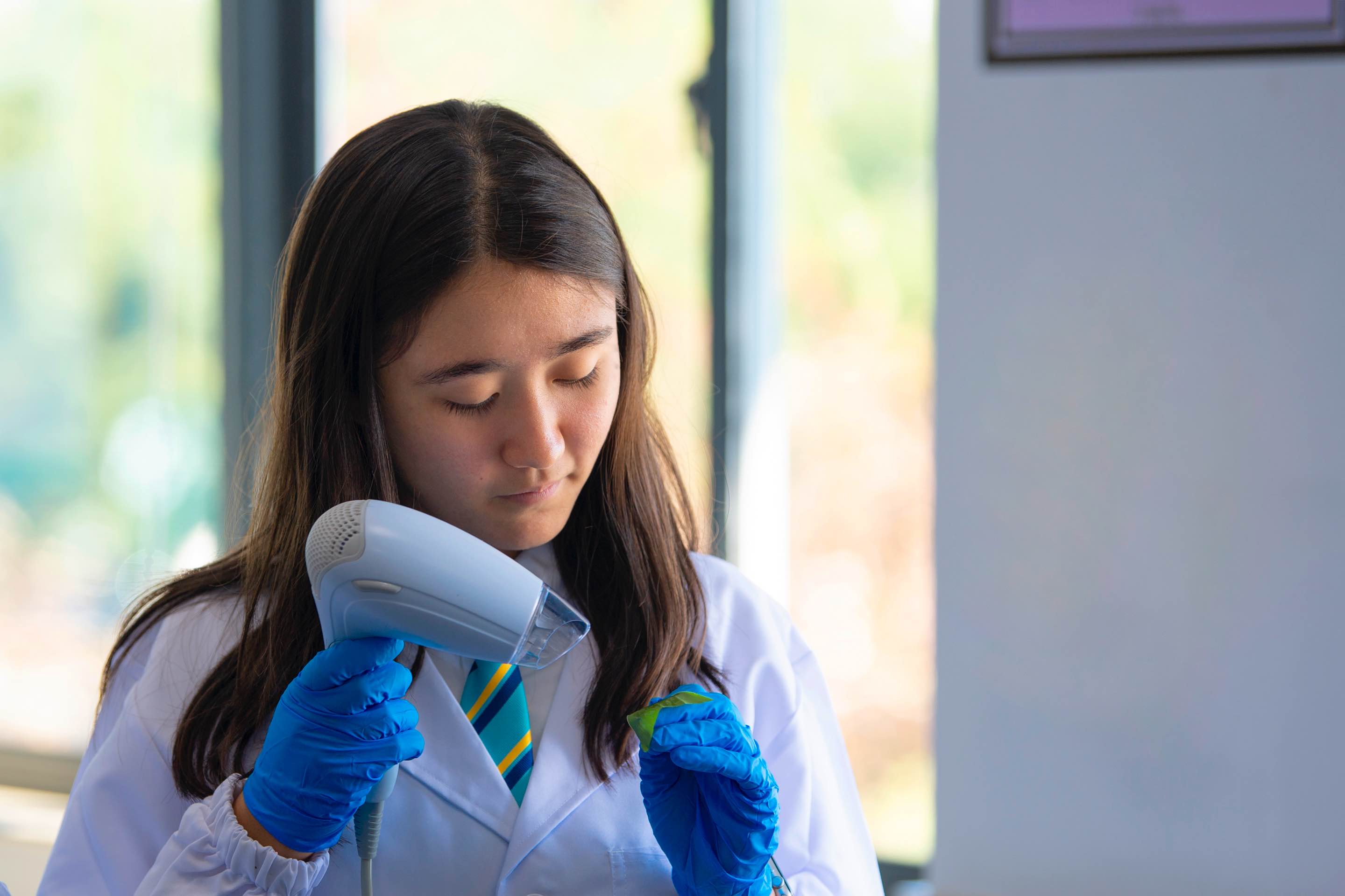 IGCSE Curriculum | NAIS Pudong - Visual Time Line Tabs