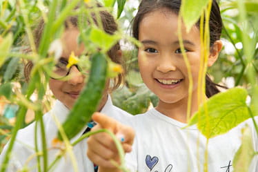 6 - A typical day - PRI