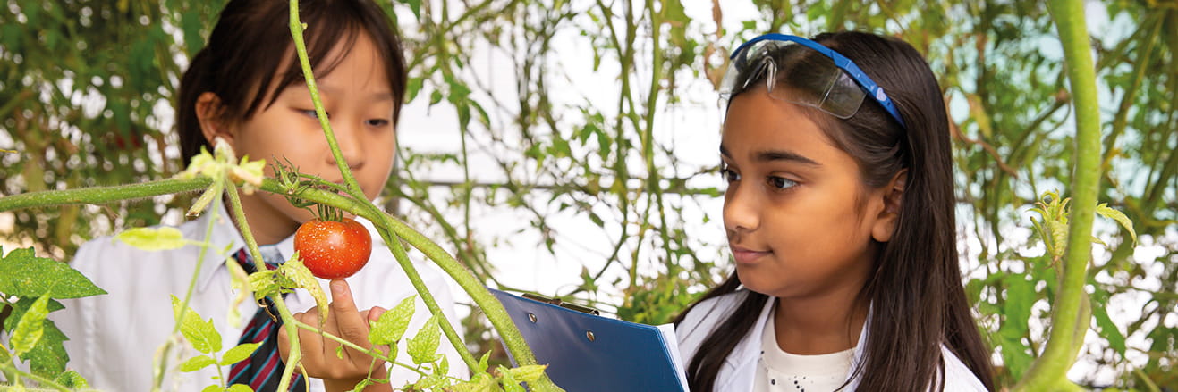 Social Purpose | NAS Dubai - Content Page Header