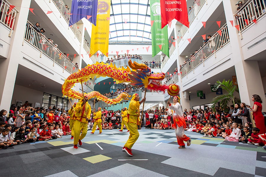 Why is Learning Languages so Important? - Why is learning languages so important