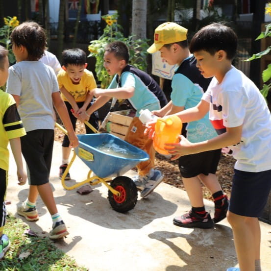 Northbridge International School Cambodia | NISC Phnom Penh - 051 - Feature Cards Pattern