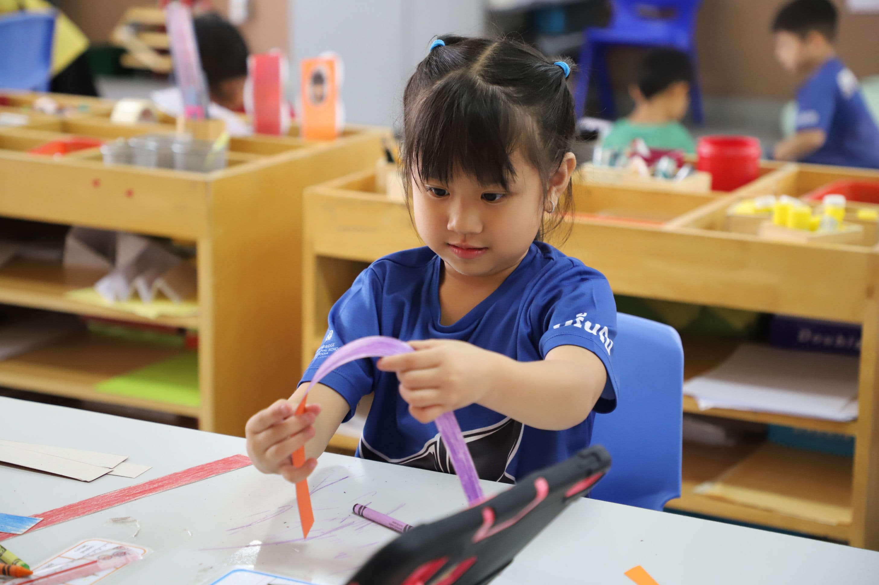 Academic Excellence | Northbridge | Nord Anglia - 04 - visualTimeline WithTags