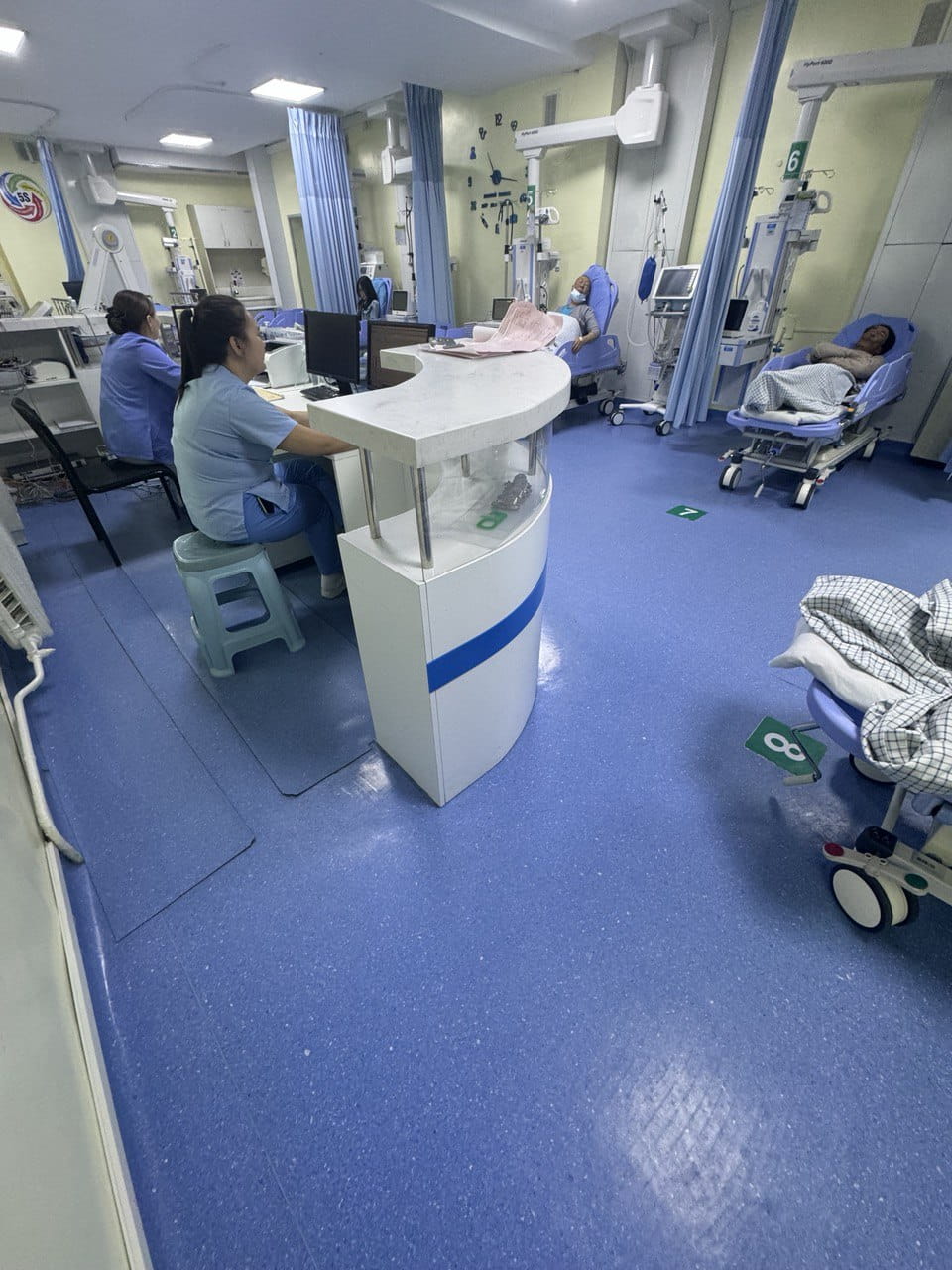 NISC Students Strengthen University Applications with Meaningful Summer Experiences - NISC Students Strengthen University Applications with Meaningful Summer Experiences