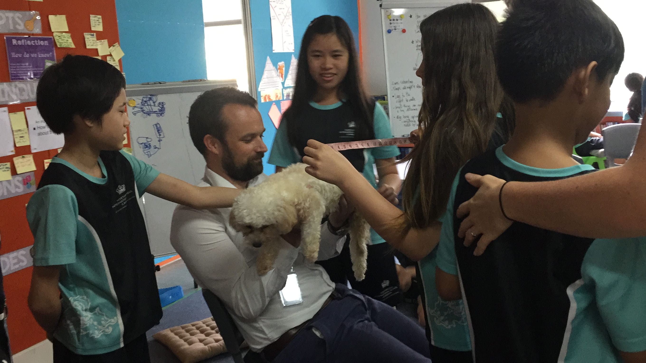 Grade 5's welcome rescue dog Lucy from Animal Mama - grade-5s-welcome-rescue-dog-lucy-from-animal-mama