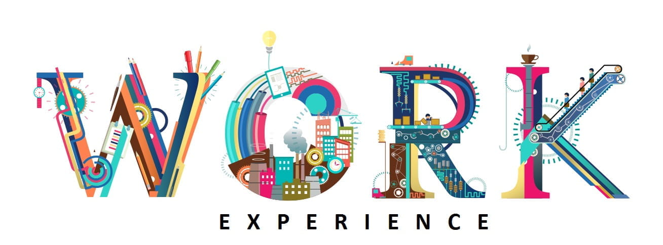 workexperience