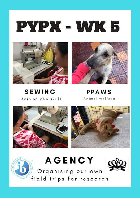 PYPX2018 weekly poster 4