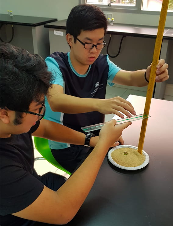 What is the value in having Primary children express themselves through art at Northbridge? - what-is-the-value-in-having-primary-children-express-themselves-through-art-at-northbridge