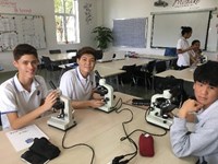 science11