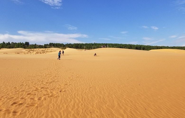 Mui Ne IGCSE Geography Residential