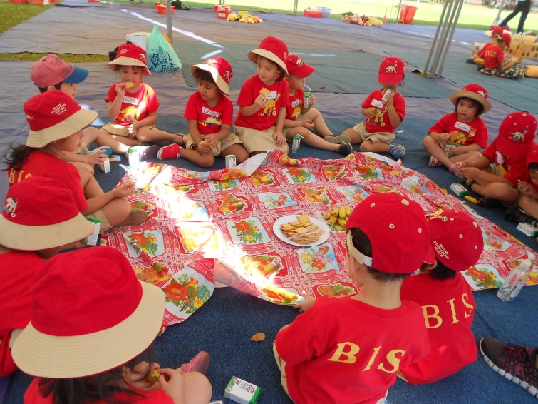 Teddy Bears Picnic