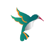 hummingbird