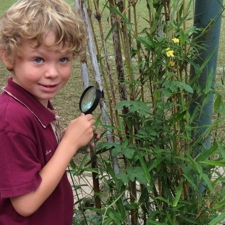 Our world-The Environment- Y2 (6)